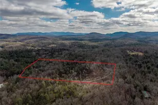 345 Big Oak Ln, Blue Ridge, GA 30513 - Photo 68