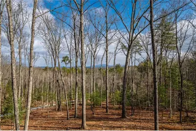 345 Big Oak Lane, Blue Ridge, GA 30513 - Photo 54