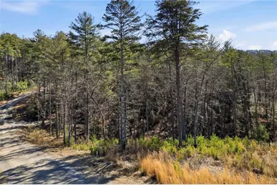 0 Mountain Laurel, Mineral Bluff, GA 30559 - Photo 10
