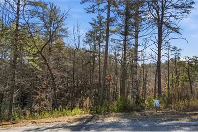 0 Mountain Laurel, Mineral Bluff, GA 30559 - Photo 6