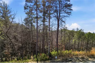 0 Mountain Laurel, Mineral Bluff, GA 30559 - Photo 12