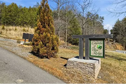 0 Mountain Laurel, Mineral Bluff, GA 30559 - Photo 4