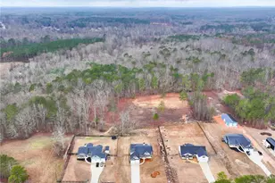 393 Rc Thompson Rd, Dallas, GA 30157 - Photo 42