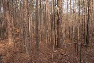 0 Doke Cohran Rd, Dallas, GA 30157 - Photo 20