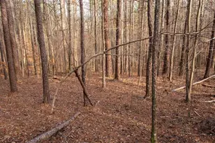 0 Doke Cohran Rd, Dallas, GA 30157 - Photo 16