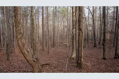 0 Doke Cohran Road, Dallas, GA 30157 - Photo 24