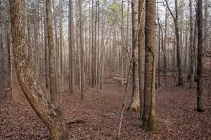 0 Doke Cohran Rd, Dallas, GA 30157 - Photo 24