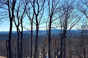 163 Beauregards Knob, Ellijay, GA 30536 - Photo 40