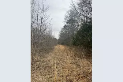 453 Johnson Mill Road, Jefferson, GA 30549 - Photo 4