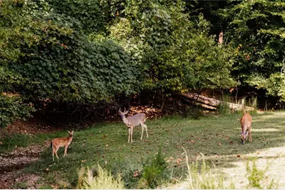 107 23rd Street, Ellijay, GA 30540 - Photo 18