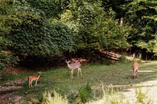 107 23rd St, Ellijay, GA 30540 - Photo 18