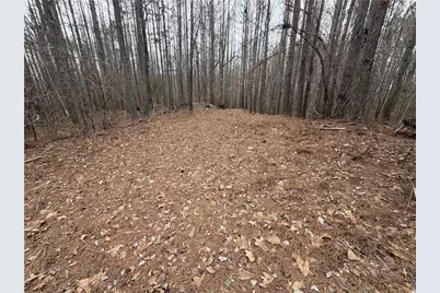 363 Lane Road, Dallas, GA 30157 - Photo 16