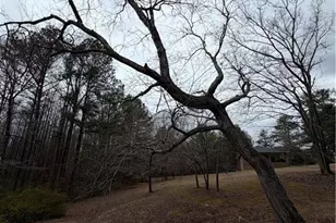 363 Lane Rd, Dallas, GA 30157 - Photo 6