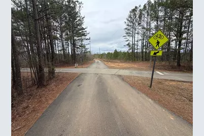 363 Lane Road, Dallas, GA 30157 - Photo 10