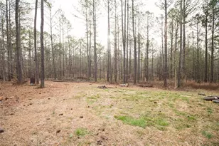 375 Caney Creek Rd, Carrollton, GA 30116 - Photo 8