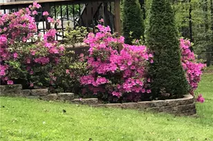 338 E Valley Rd NE, Rydal, GA 30171 - Photo 48