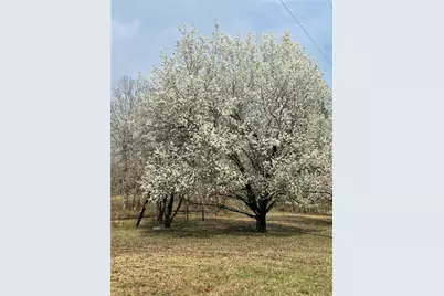 675 McGee Bend Road, Cave Spring, GA 30124 - Photo 64