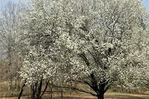 675 McGee Bend Rd, Cave Spring, GA 30124 - Photo 64