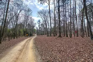 675 McGee Bend Rd, Cave Spring, GA 30124 - Photo 46