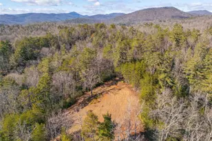 457 Celie Ann Seabolt Rd, Cleveland, GA 30528 - Photo 52