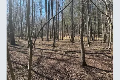 0 Lot 16 Bravo Way, Talking Rock, GA 30175 - Photo 8