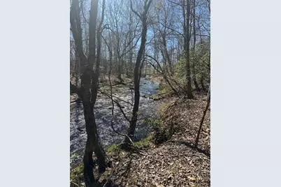 0 Lot 16 Bravo Way, Talking Rock, GA 30175 - Photo 2