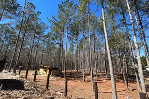 613 Bill Rutledge Rd, Winder, GA 30680 - Photo 80