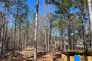 613 Bill Rutledge Rd, Winder, GA 30680 - Photo 78