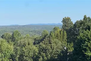 115 Mountain Falls Way, Canton, GA 30115 - Photo 56