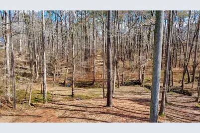 1498 Pinyan Lane, Canton, GA 30115 - Photo 56