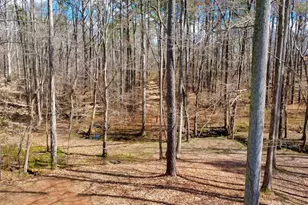 1498 Pinyan Ln, Canton, GA 30115 - Photo 56