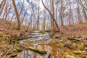 1498 Pinyan Ln, Canton, GA 30115 - Photo 4