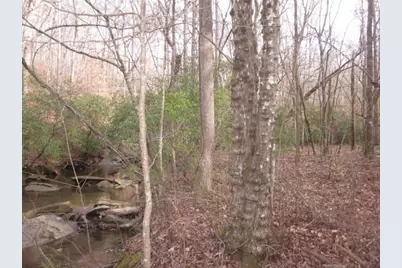 0 Sparks Way, Talking Rock, GA 30175 - Photo 50