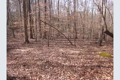 0 Sparks Way, Talking Rock, GA 30175 - Photo 28