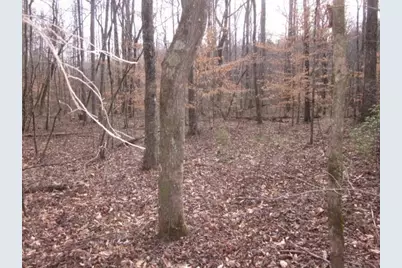 0 Sparks Way, Talking Rock, GA 30175 - Photo 14