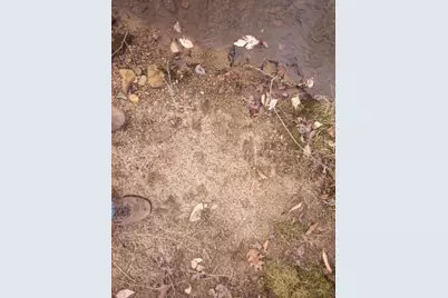 0 Sparks Way, Talking Rock, GA 30175 - Photo 44