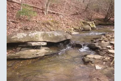 0 Sparks Way, Talking Rock, GA 30175 - Photo 48