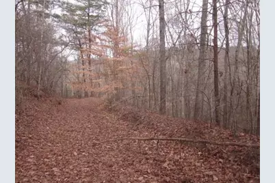 0 Sparks Way, Talking Rock, GA 30175 - Photo 6