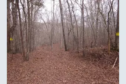 0 Sparks Way, Talking Rock, GA 30175 - Photo 2