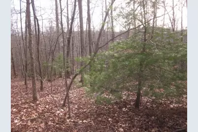 0 Sparks Way, Talking Rock, GA 30175 - Photo 38