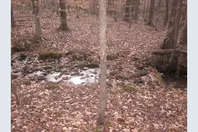 0 Sparks Way, Talking Rock, GA 30175 - Photo 40