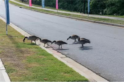 3106 Cambridge Mill Street, Acworth, GA 30102 - Photo 58