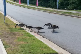 3106 Cambridge Ml St, Acworth, GA 30102 - Photo 58