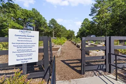 321 Bear Way, Hoschton, GA 30548 - Photo 78