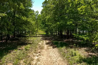 321 Bear Way, Hoschton, GA 30548 - Photo 62
