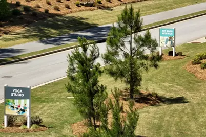 321 Bear Way, Hoschton, GA 30548 - Photo 46