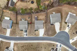 158 Sienna Bluff, Dallas, GA 30132 - Photo 46