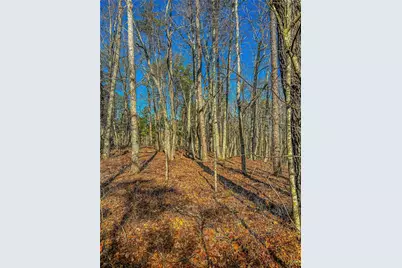 00 River Highlands Road, Dahlonega, GA 30533 - Photo 14