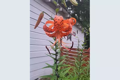 2014 S 16 Highway S, Carrollton, GA 30116 - Photo 64