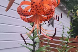 2014 S 16 Hwy S, Carrollton, GA 30116 - Photo 64